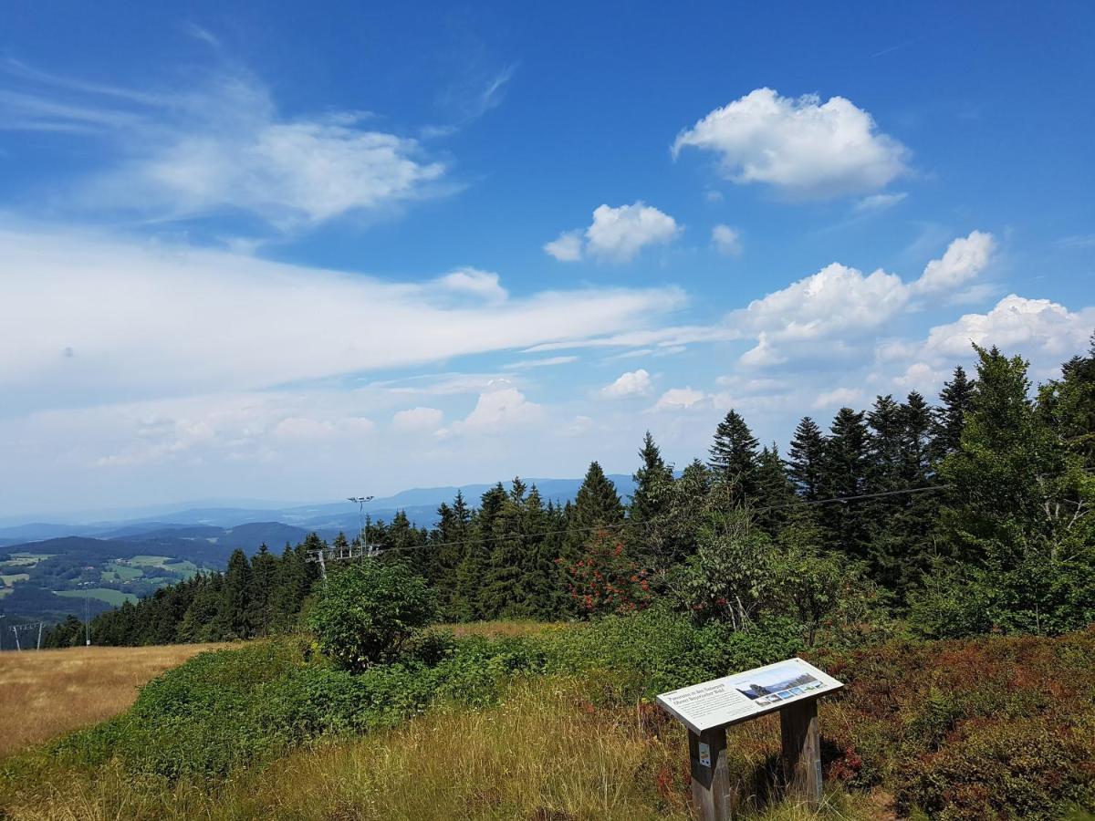 Traumurlaub Im Bayerische Wald Sankt Englmar Kültér fotó