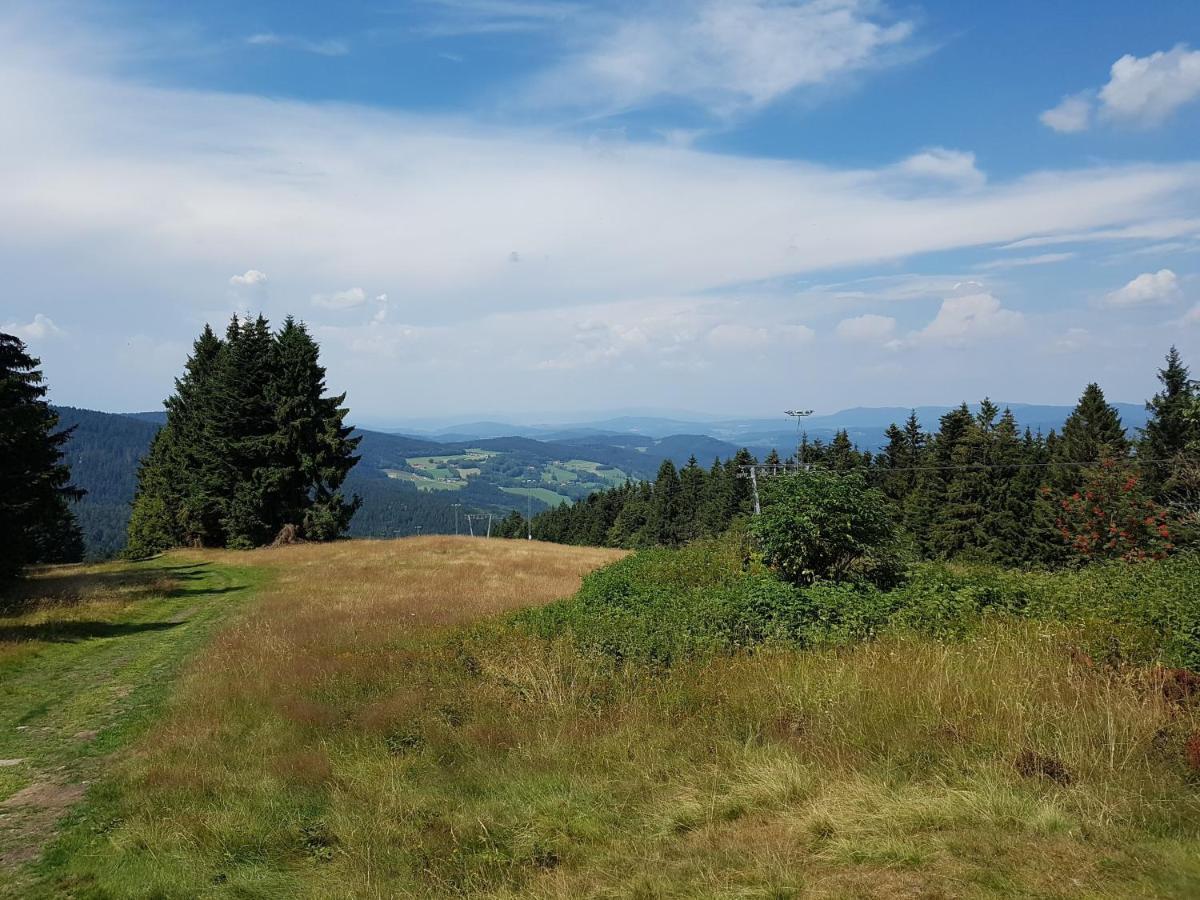 Traumurlaub Im Bayerische Wald Sankt Englmar Kültér fotó